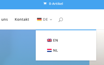 Website en ondersteuning nu ook in het Engels en Nederlands